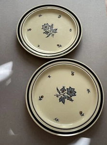 Juego de 2 platos de cena de colección Newcor Versailles 503 Japón gres floral azul - Imagen 1 de 5
