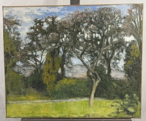 Grande et ancienne huile sur toile signée : vue d'un paysage printanier 50x61 cm - Picture 1 of 13
