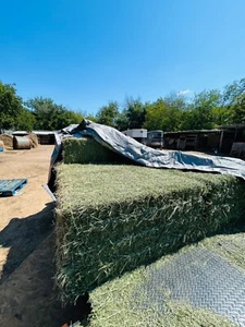 Alfalfa hay bales 3 string horse feed for a low price of $27 each bale - Picture 1 of 4