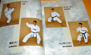 Japanese Karate how to BOOK with english description from Japan rare #0062 - Picture 1 of 13