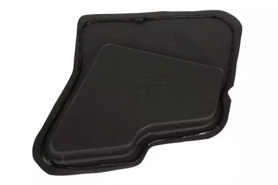 Deflector de agua puerta delantera lado conductor GM 10263411 genuino Foto 1 de 4