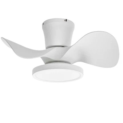 Quiet Ceiling Fan with LED Light 22 inch Large Air Volume Remote Control for ... - Image 1 of 4