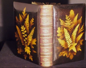 The Poetical Works of Sir Walter Scott Illustrated (Fernware Binding) 1872 - Picture 1 of 15