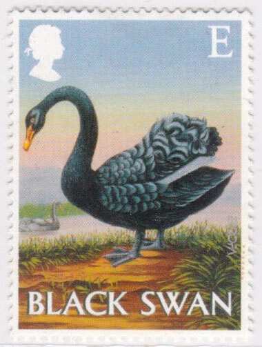 Sello usado GB Gran Bretaña Black Swan Bird Theme E Foto 1 de 1