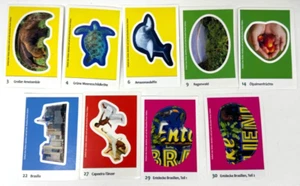 Edeka - Entdecke Brasilien - Sammelkarten WWF Sticker 3,4,6,9,14,22,27,29,30 - Bild 1 von 4