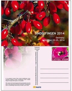 Latvia Lettland Germany 2014 Postcard Flowers and bee insect MNH rare - Picture 1 of 1