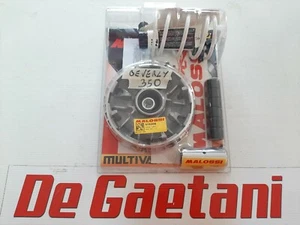 VARIATORE MULTIVAR MALOSSI 5119126 PIAGGIO BEVERLY MP3 X10 350 - Imagen 1 de 1