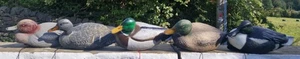 Job Lot Full Size Floating Duck Decoys for Hunting Shooting x 5 - Various Makers - Picture 1 of 13