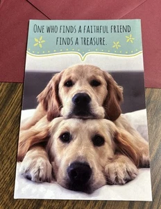 Birthday or Friendship Cute Dog 4.6”x7” Blank Inside Greeting Card - Picture 1 of 7
