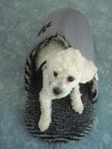 GRAY SLIPPER DOG BED - Picture 1 of 11