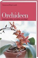 Orchideen: Richtig auswählen, vermehren und pflegen... | Buch | Zustand sehr gut