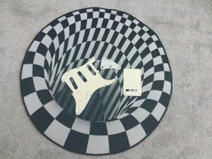 strat schlagbrett und backplate - Bild 1 von 3