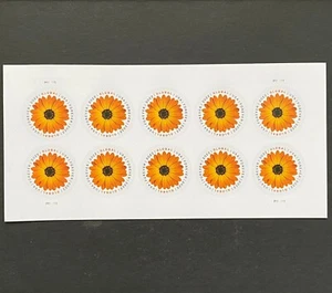 USA 2022 Briefmarken postfrisch Global Forever Rate African Daisy 10er Bogen USA - Bild 1 von 5
