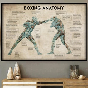 Póster boxeador de anatomía del boxeo - Imagen 1 de 3