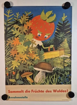 Plakat Korbine Früchtchen Frösi Sammelt Früchte des Waldes 1964 Original DDR A2 - Bild 1 von 4