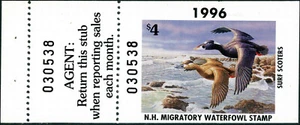 NEW HAMPSHIRE #14A 1996 STATE DUCK HUNTER STAMP SURF SCOTERS Jeffery Klinefelter - Bild 1 von 1