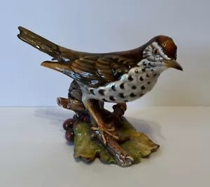 Tay Italy Ceramic Wood Thrush 6 1/4” Tall x 8 1/4” Wide. Glossy Beautiful - Picture 1 of 6