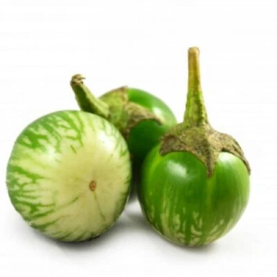 GREEN THAI EGGPLANT ,PETCH SIAM / MATTI GULLA SEEDS,  HẠT CÀ DĨA VN - Image 1 of 4