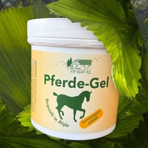 12 x Pferde -Gel- Allgüa - Bild 1 von 2