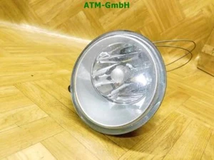 Nebelscheinwerfer Nebelleuchte NSW NSL rechts Renault Scenic Beifahrerseite - Bild 1 von 8