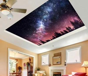 3D Night Galaxy G4265 Ceiling WallPaper Murals Wall Print Decal Deco Erin 2023 - Picture 1 of 5