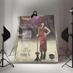 Spirit Sexy Witch Costume W/ Black Heels 9M Shoe - Picture 1 of 13