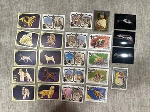 2024 Allen And Ginter 24 Card Insert Lot/SSP Lot- Dogs, X-Ray, Bees, Case Hit!🔥 - Picture 1 of 5