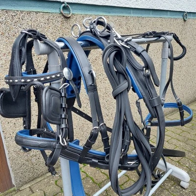 Top  Einspänner Leder Brustblatt Geschirr Mini Shetty  schwarz/blau quick out  - Bild 1 von 4