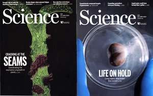 LOT OF 2 SCIENCE AAAS MAGAZINES 2023 JUNE 23 AND JUNE 30 - Picture 1 of 1