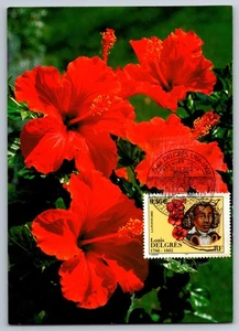 France Louis Delgres FDC Maxi Card Habiscus Flower - Picture 1 of 2
