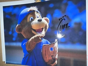 Chicago Cubs Clark Bear Mascotte firmata foto 8x10 - Foto 1 di 1