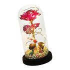 Preserved Rose Flower in Glass Dome with LED Light for Valentine's Day Birthday