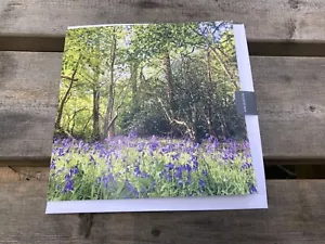 Greeting card 'Wildside Bluebells' photographic 15cmX15cm Blank inside FREE P&P - Picture 1 of 5