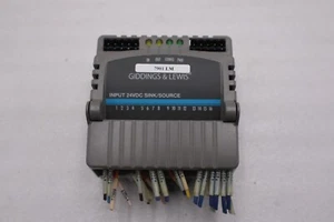 GIDDINGS & LEWIS M.1300.7372 R1 Input Module 24VDC SINK/SOURCE STOCK 629-D - Picture 1 of 4