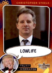 2020 Decision 2020 Nicknames #NN17 Christopher Steele Lowlife - NM - Picture 1 of 1