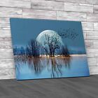 Silhouette Birds Full Moon Lone Dead Tree Nasa Canvas Print Large Picture Wall
