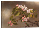 Stampa su Tela Vernice Effetto Pennellate Heade - Hummingbird and Apple Blossoms