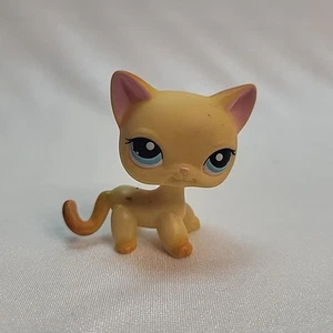 Littlest Pet Shop #339 Orange Ginger Shorthair Cat Blue Dot Eyes LPS Light Marks - Imagen 1 de 10