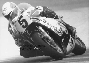 Suzuki 500cc Factory Racer Marco Lucchinelli 1981 Weltmeister MotoGP Racing - Bild 1 von 1