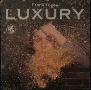 Frank Tovey Luxury (Remix) France 12" Fad Gadget - Picture 1 of 1
