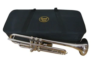 Brand New Silver Nickel Plated  Bb Flat Trumpet Black Friday Sale - Picture 1 of 1