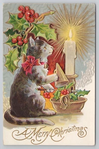 Victorian Christmas Nash Postcard Kitty with Candle Flame Snuffer Holly Berries - Picture 1 of 5