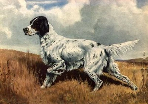 English Setter - CUSTOM MATTED - Dog Art Print - Megargee - Picture 1 of 1