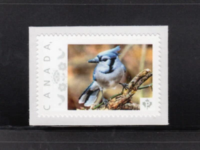 BLUE JAY = Selo personalizado de postagem com foto MNH Canadá 2013 [p4f12/1] - Imagem 1 de 2