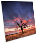 Sunset Landscape Tree SQUARE BOX FRAMED CANVAS ART Print