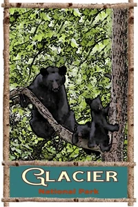 Travel Poster 20 x 30 Black Bear Family visit Glacier National Park - Picture 1 of 1