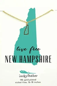 New Hampshire - Lucky Feather State Necklace 14k Gold Plated State Love - Picture 1 of 1