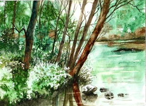 Sonnenlicht auf einem Teich, Landschaftskunst, Seeuferkunst, Teichlicht, Wasserteich - Bild 1 von 1