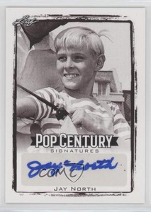 2017 Leaf Pop Century Jay North #BA-JN1 Auto 0ix3