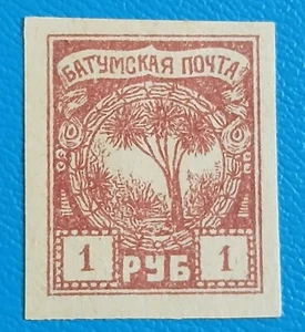 BATUM....1919....British Occupation.....WW1...Palm Trees - Picture 1 of 1